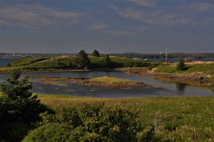 marshland